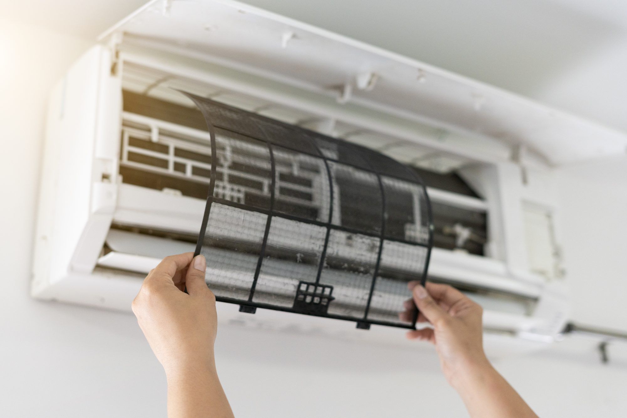How to Prevent Mold in AC: Your Complete 2024 Guide